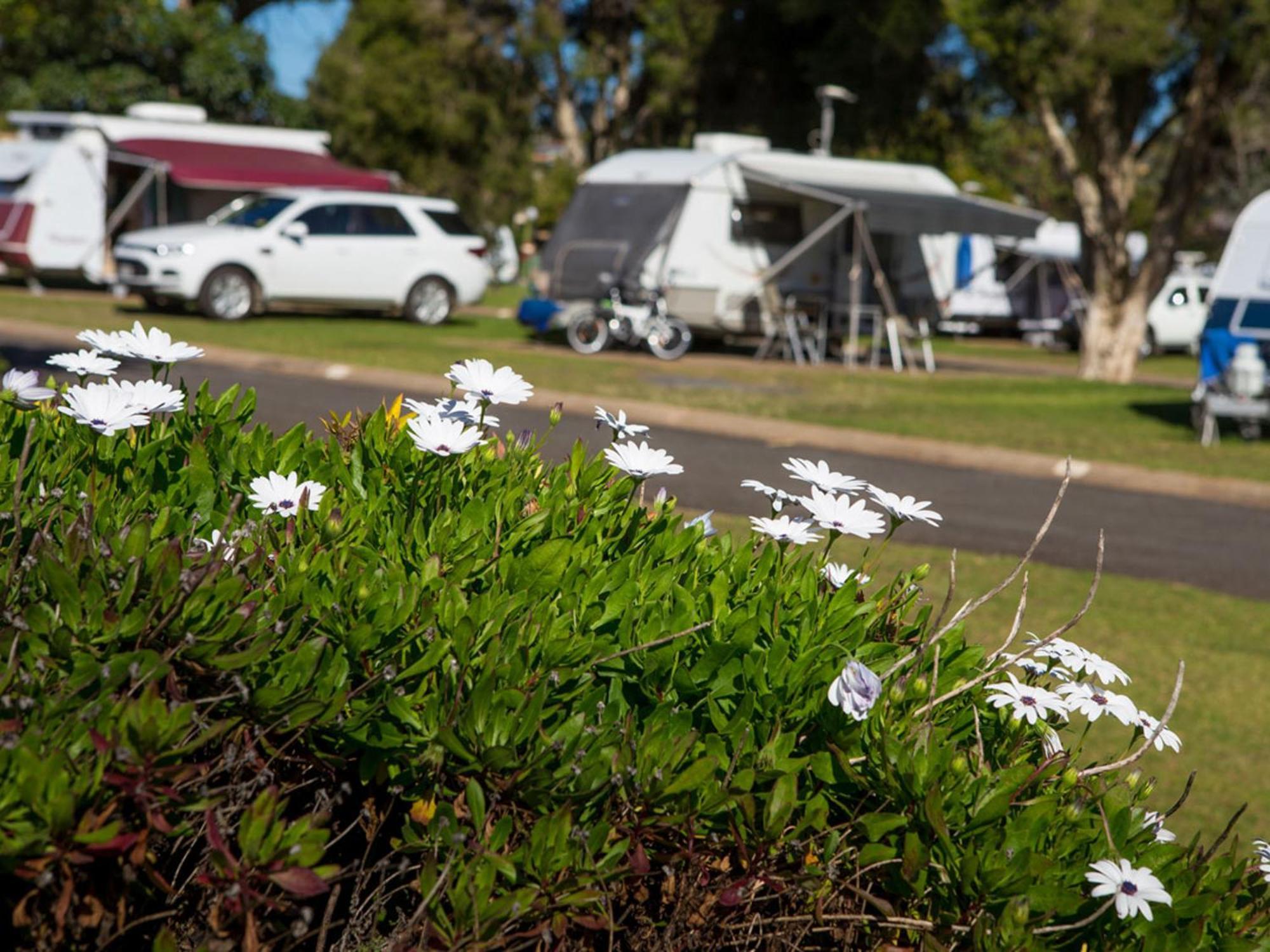 Motor Village Campsite Toowoomba