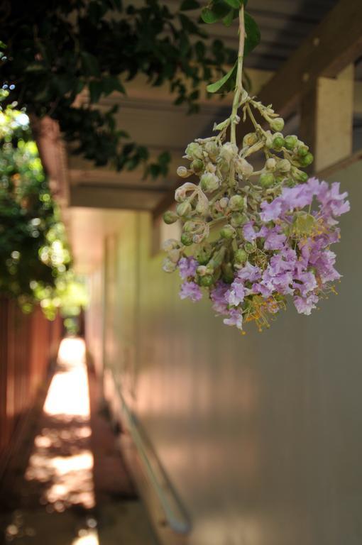 Pure Land Guest House 3* Toowoomba