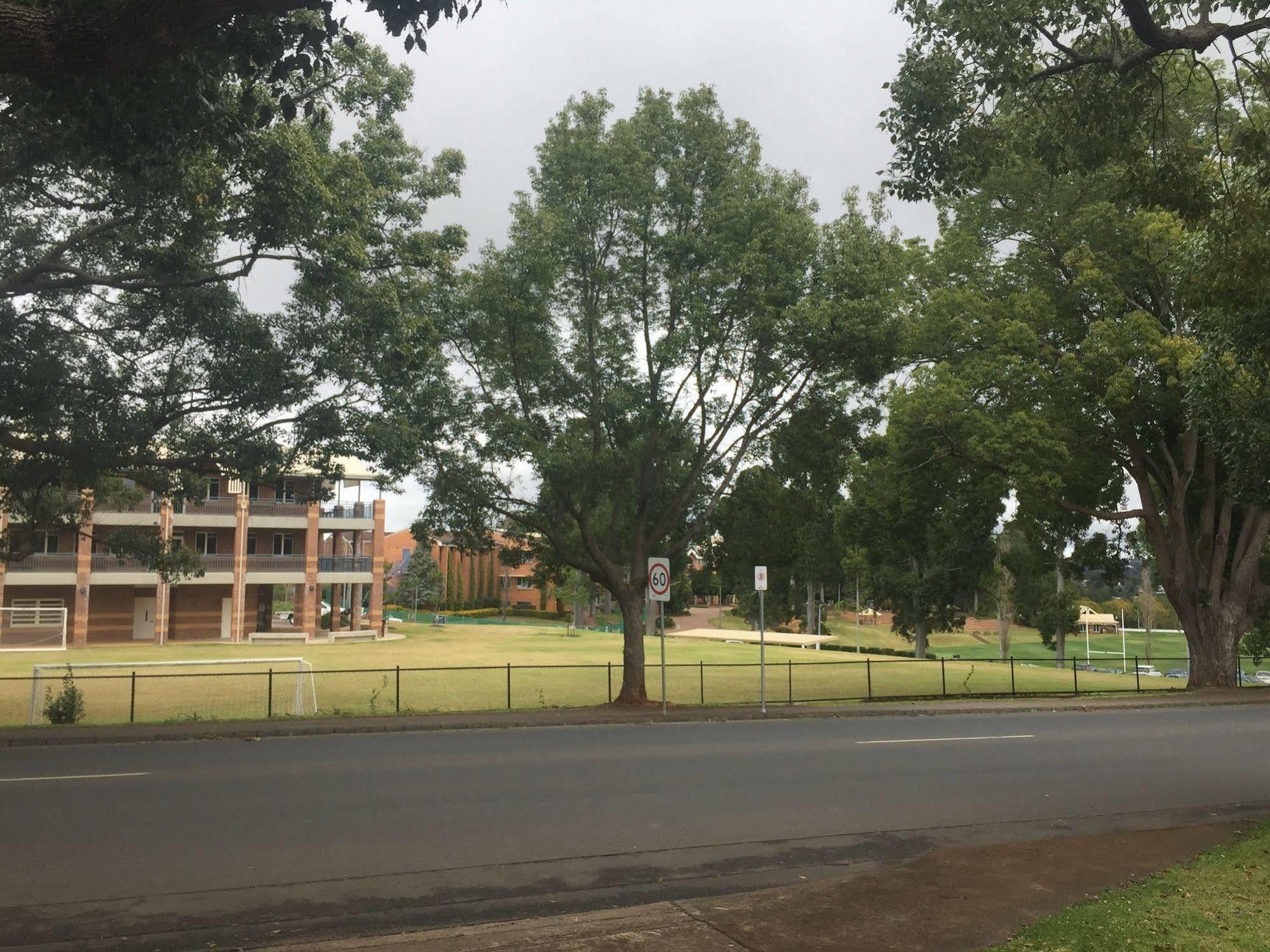 Blue Violet Motor 3* Toowoomba