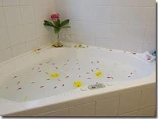 Nova Aparthotel 3*