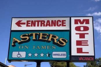 Motel Asters On Motor